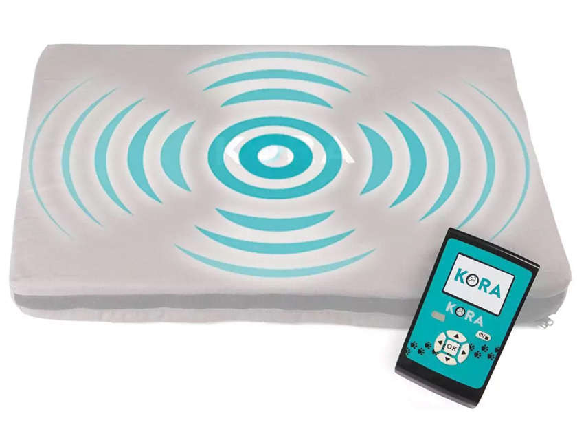 MAGNETOTERAPIA VETERINARIA KORA - KIT BASE